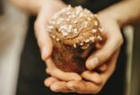 Mini panettone