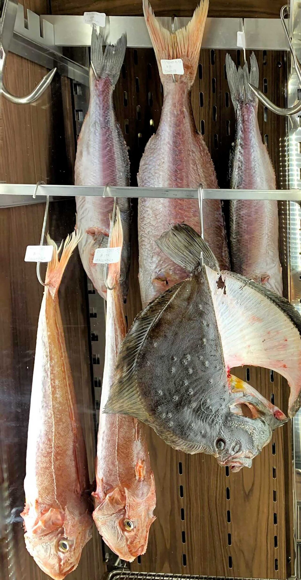 la frollatura del pesce al ristorante giapponese Nobuya a Milano 