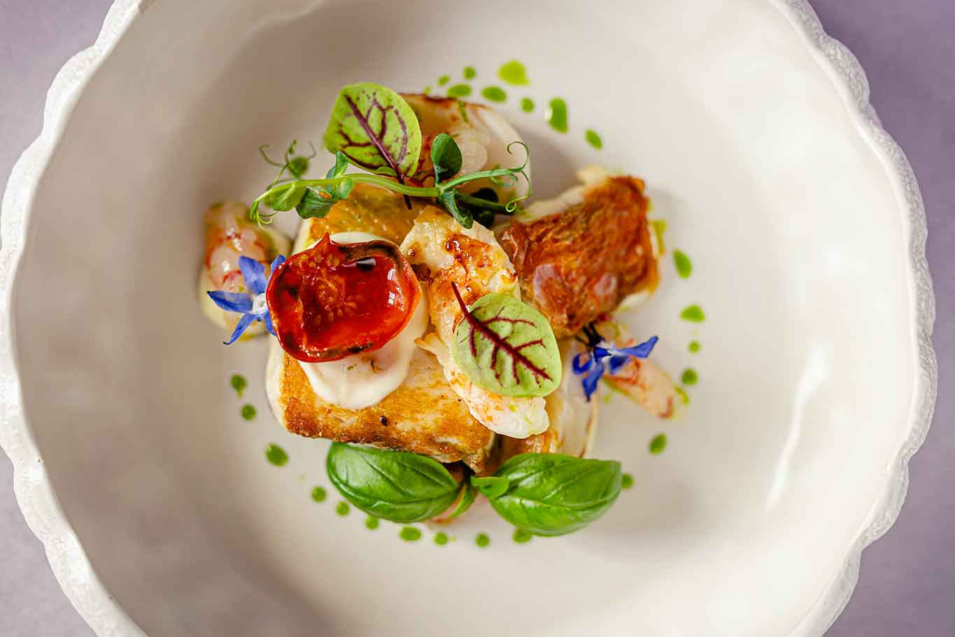 Bouillabaisse creativa