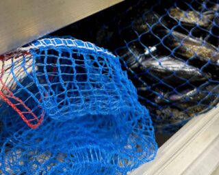 Marzo maledetto: la verità scomoda sulla ristorazione napoletana