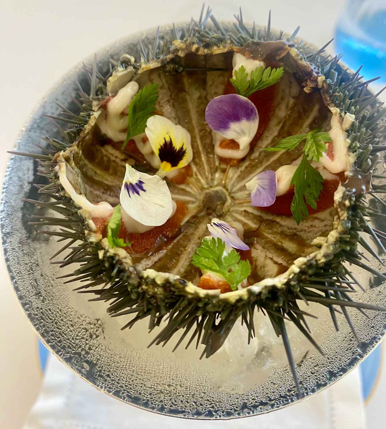 il riccio al ghiaccio al Ristorante Casanova a Polignano a Mare