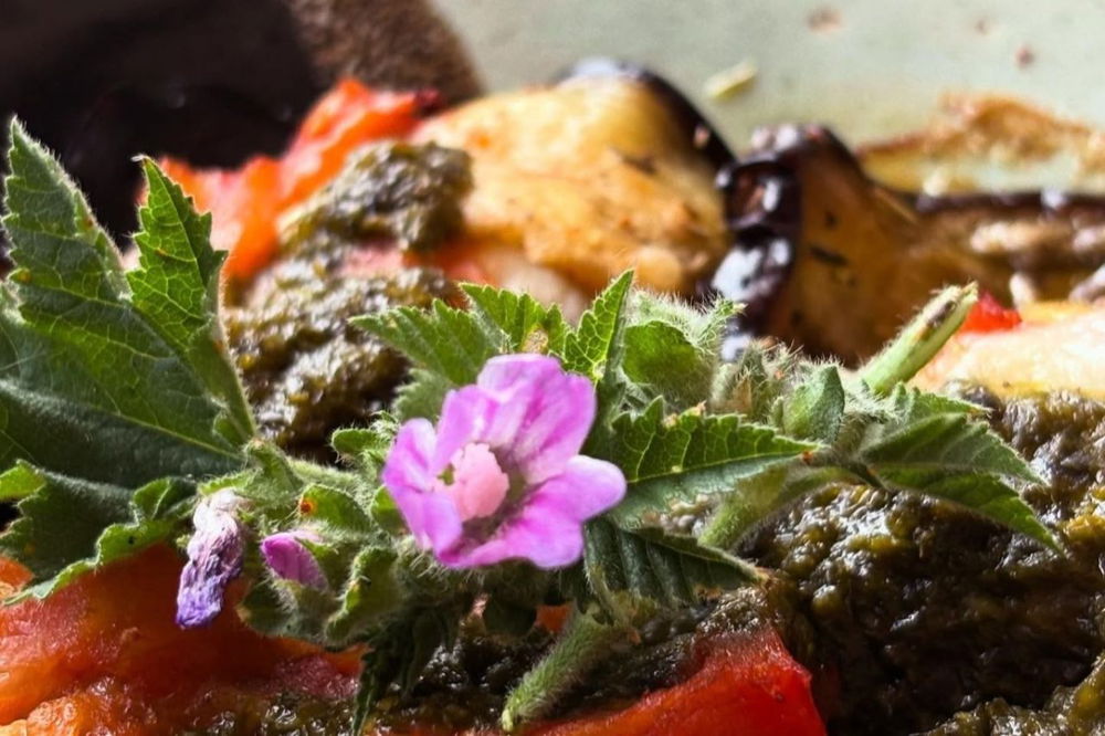 Balagne nepita su cannoli di melanzane al brocciu