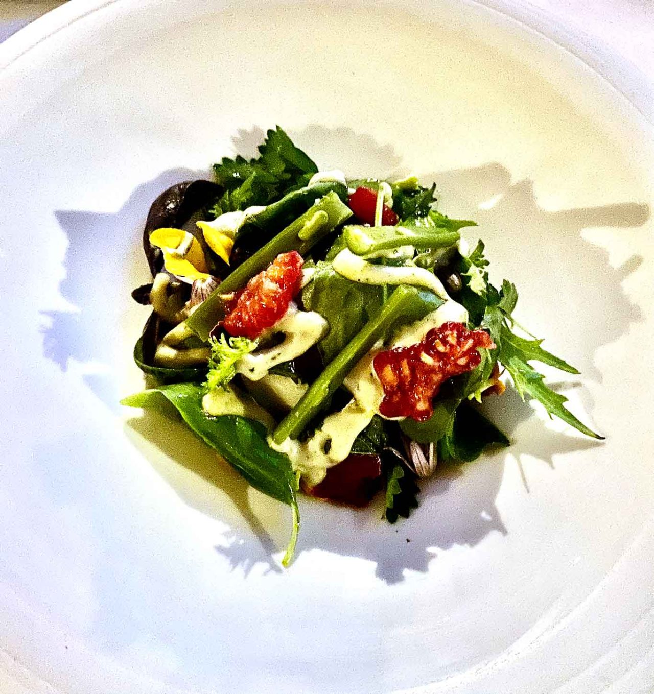 orto ligure del ristorante DAV Da Vittorio Cerea a Portofino