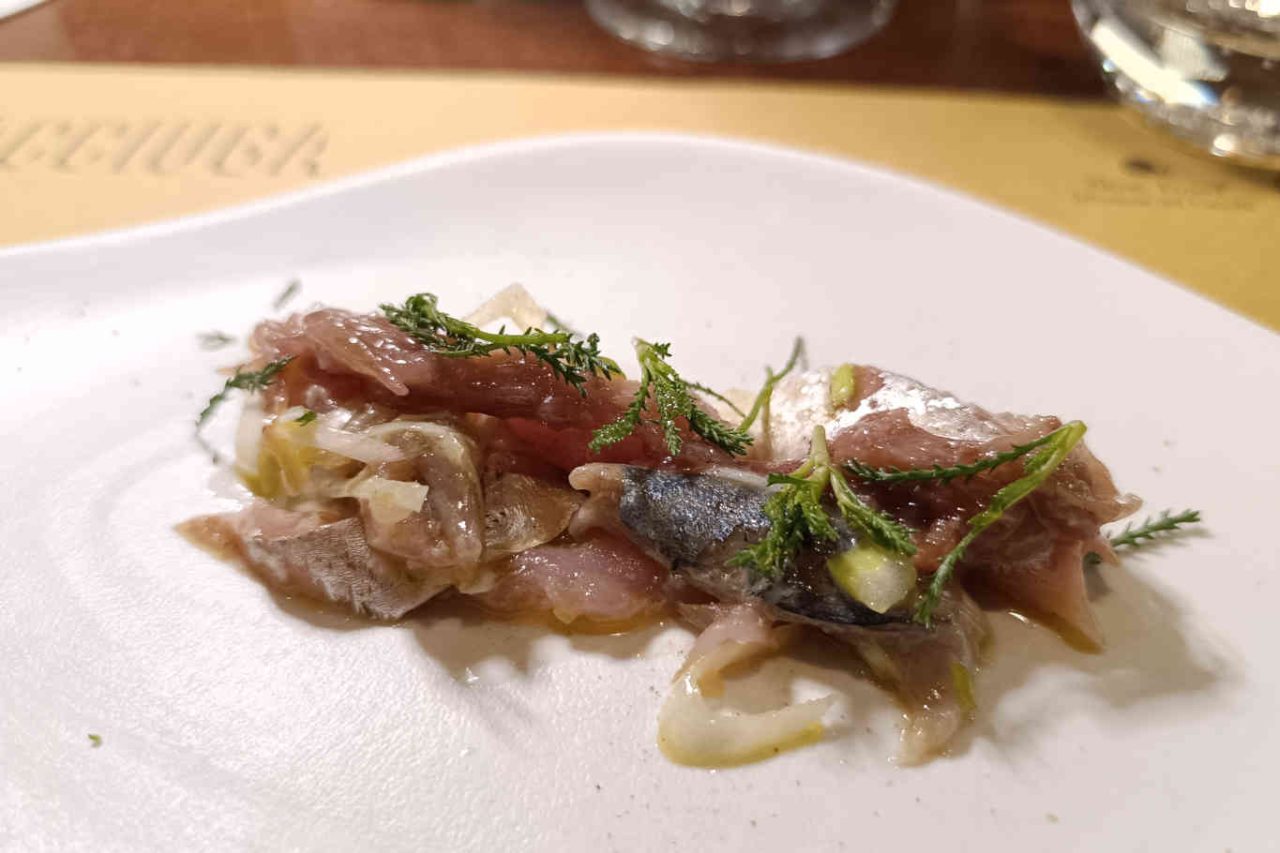 sgombro cavallo in insalatina di Ristorante Acciuga