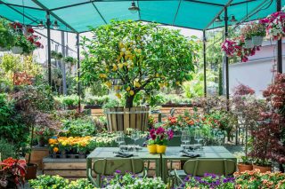 Belloverde a Roma, bistrot per mangiare in giardino all&#8217;aperto