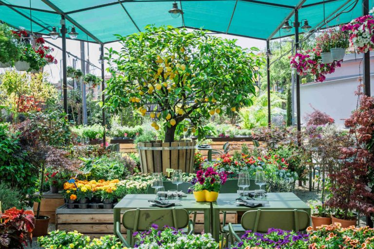 Belloverde a Roma, bistrot per mangiare in giardino all&#8217;aperto