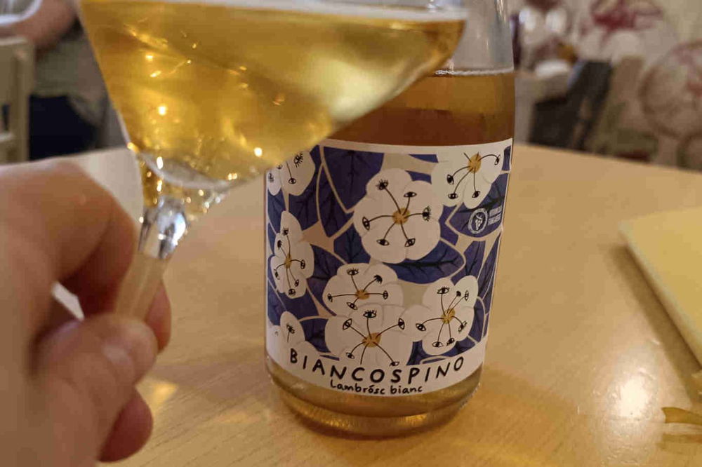 Biancospino, Lambrosc bianc di Agricola Fangareggi