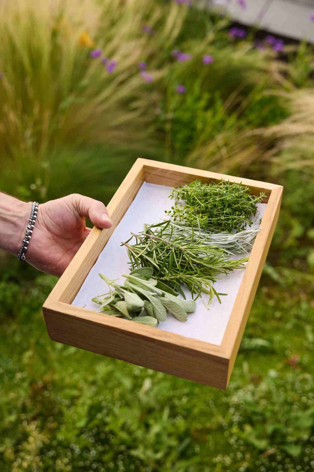 horto ristorante milano erbe aromatiche