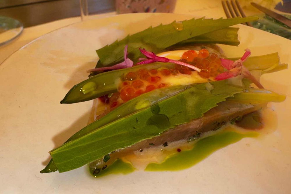 horto ristorante milano trota iridea