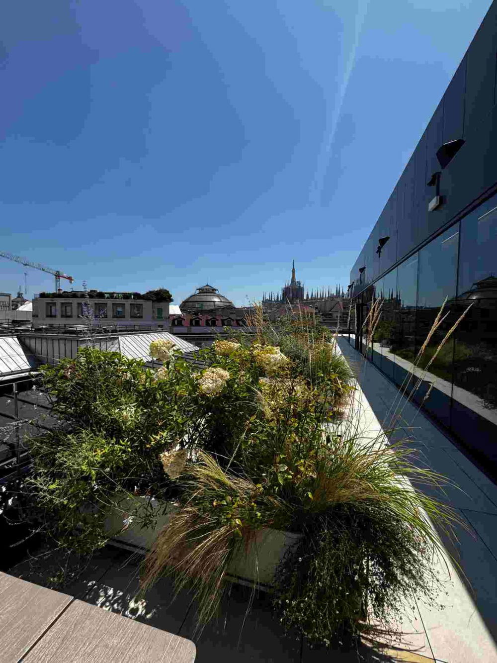 terrazza horto ristorante milano