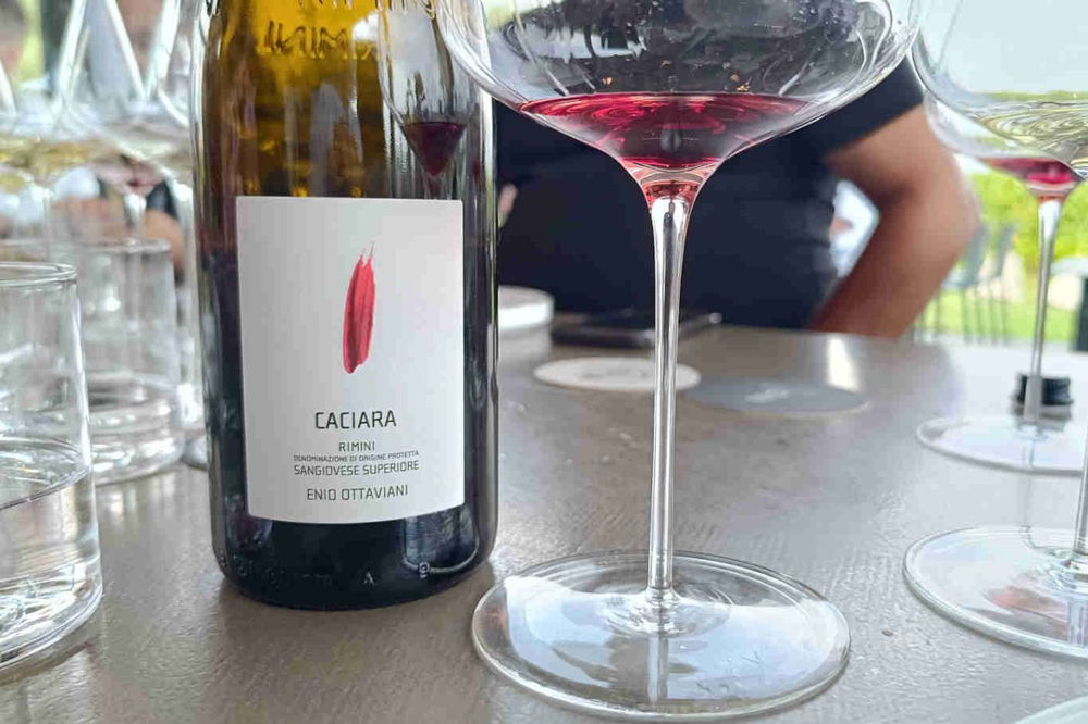 Caciara è il Sangiovese in purezza da bere giovane di  Enio Ottaviani