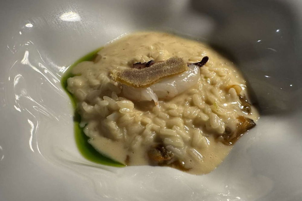 risotto sotto sopra cactus milano ristorante