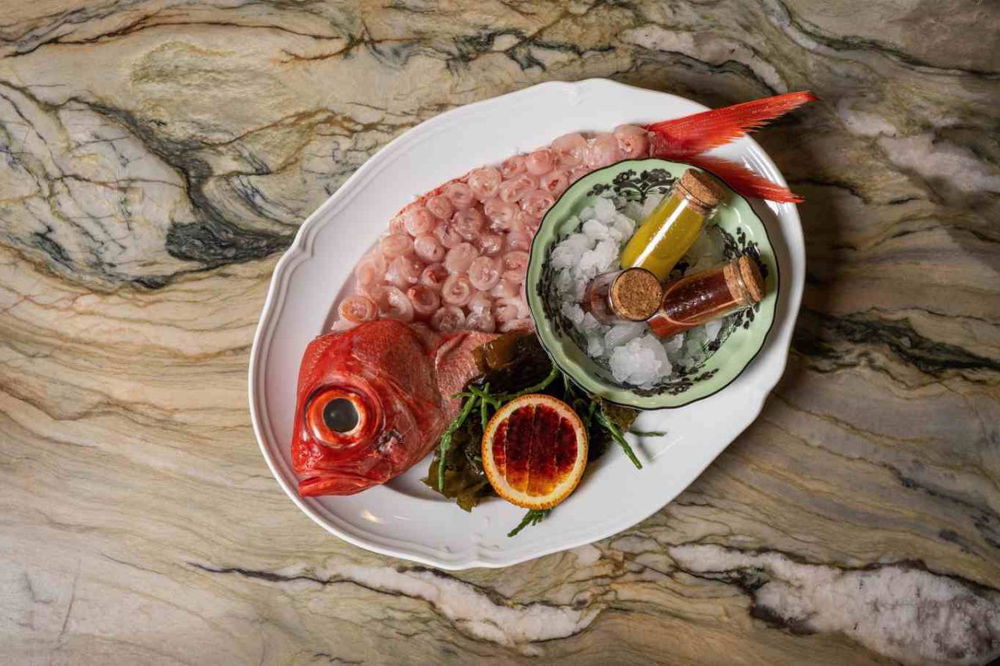 sea signora milano ristorante gran carpaccio alfonsino