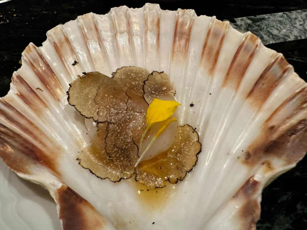 capasanta tartufo