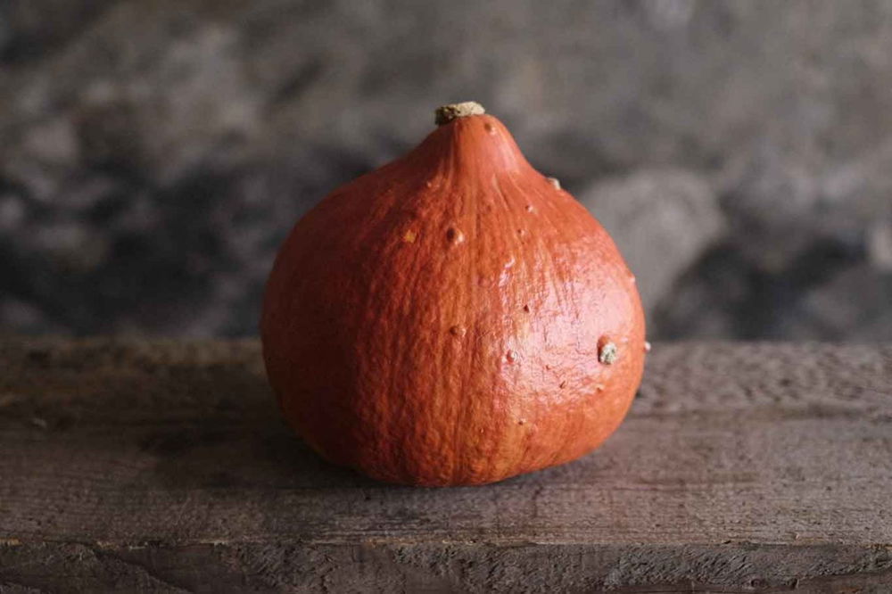 zucca hokkaido per preparare il risotto