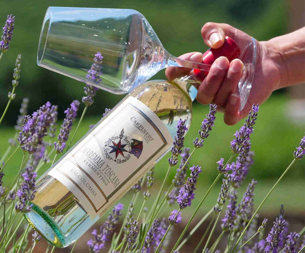 il Vermentino di Maremma Valcolomba 2024 di Carpineto