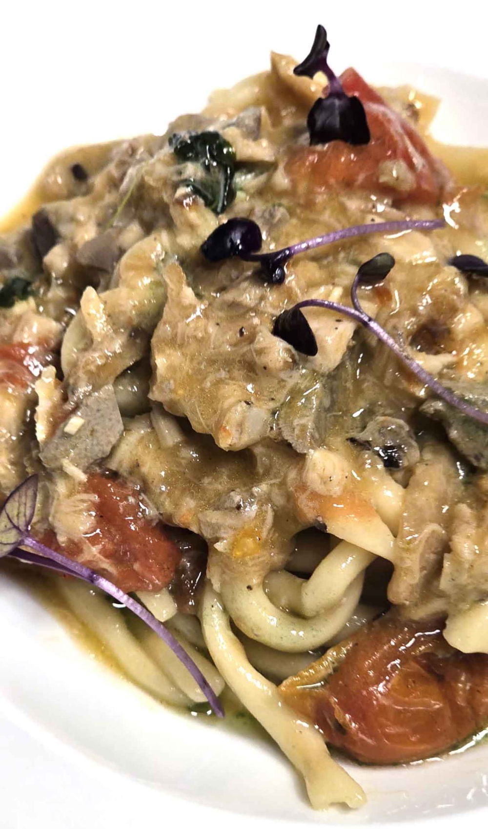 pici con coniglio all'ischitana del ristorante Il Mestolo a Siena 