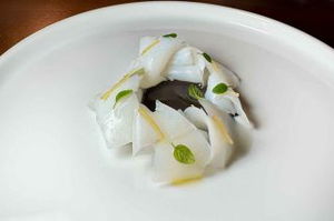 Suscettibile a Salerno incanta con una seppia eccezionale