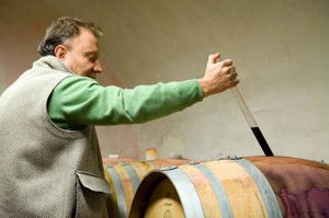 Addio a Luigi Cataldi Madonna, professore del vino in Abruzzo