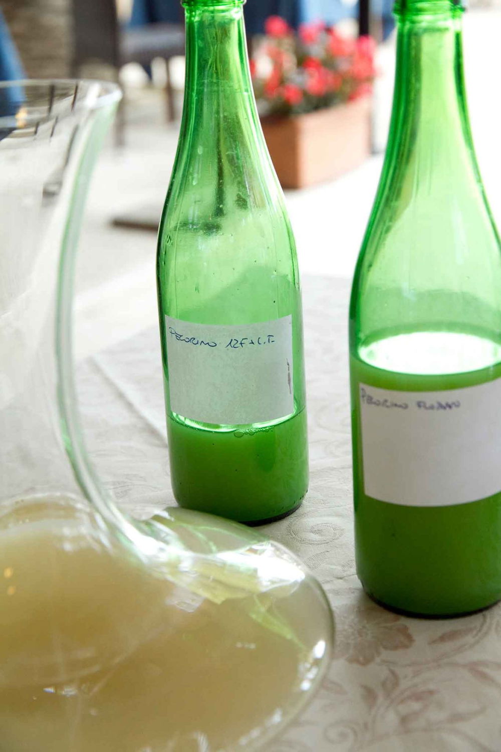 il vino di Luigi Cataldi Madonna