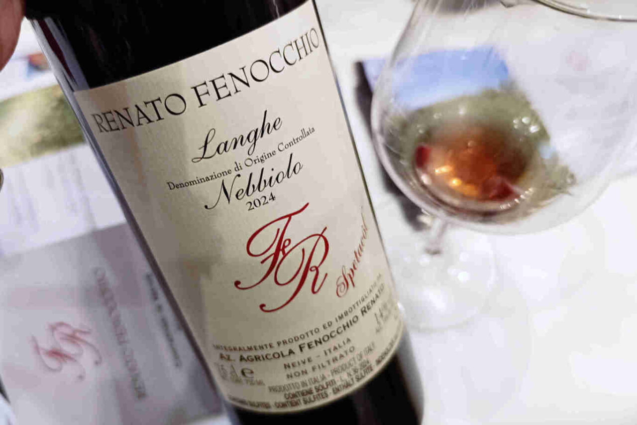 Langhe Nebbiolo 2024 di Renato Fenocchio