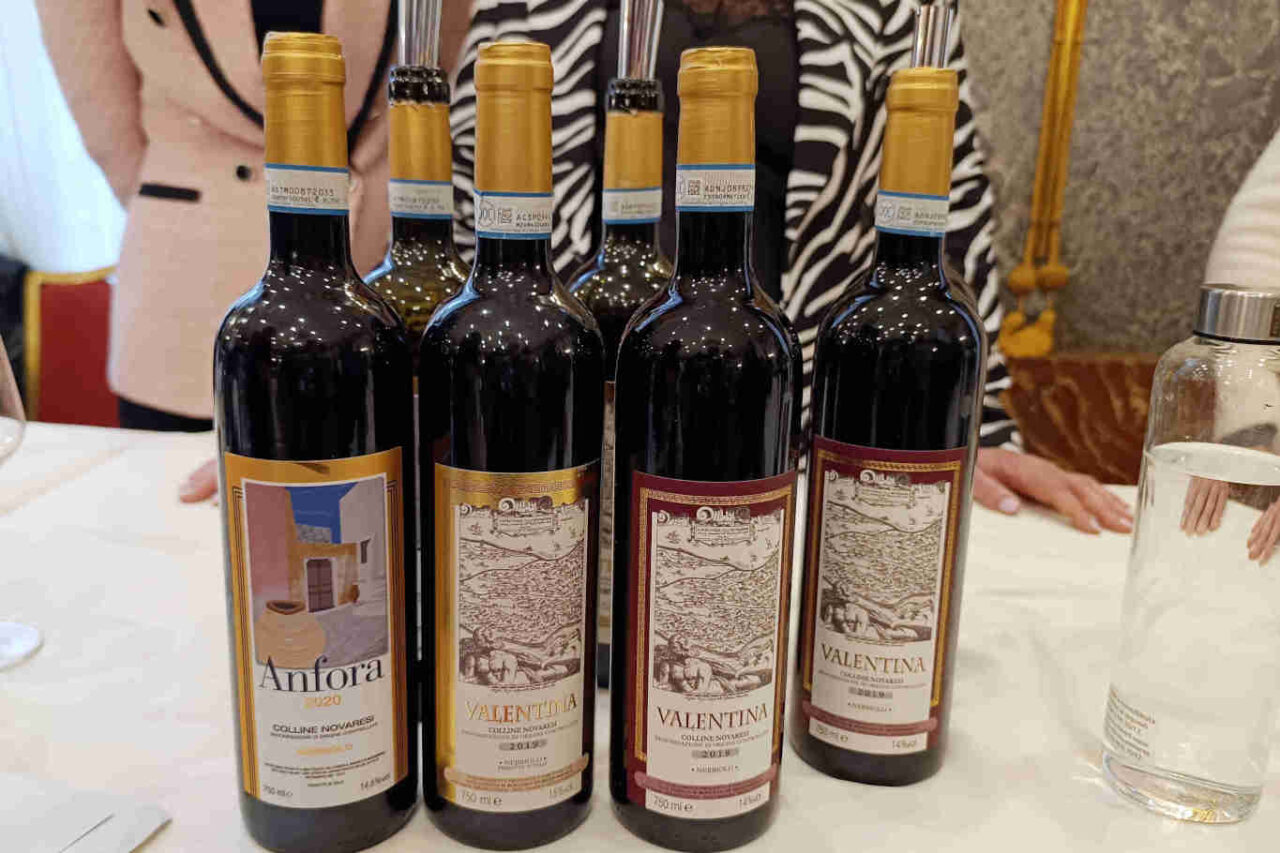 uva Nebbiolo in anfora di Roccolo di Mezzomerico
