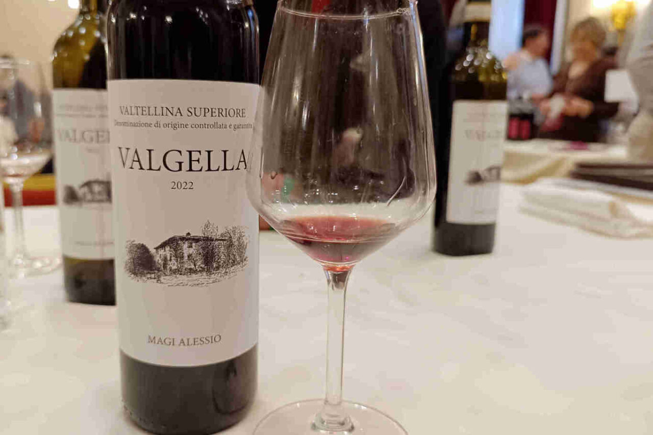 uva Nebbiolo per il Valtellina superiore di Alessio Magi