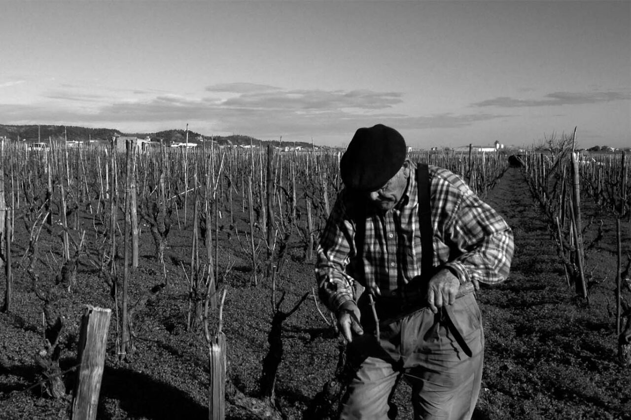 Vini Naturali Sergio Arcuri Padre