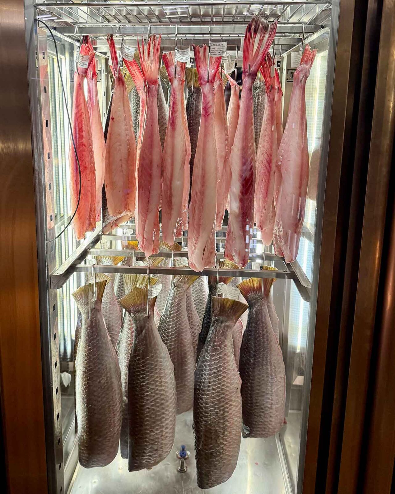 il frigo delle frollature di pesce del ristorante Da Lucio a Rimini