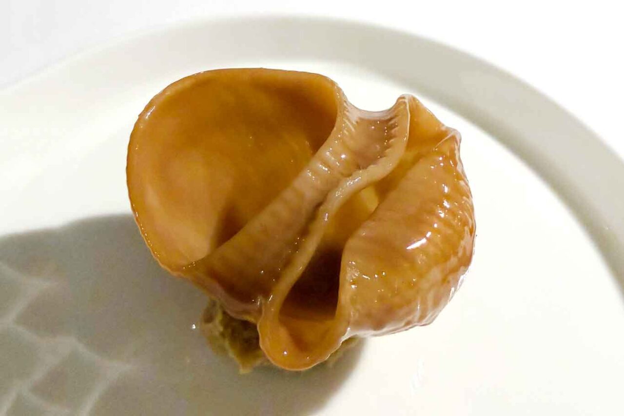 la pasta al forno e verza del Ristorante Reale di Niko Romito a Castel di Sangro