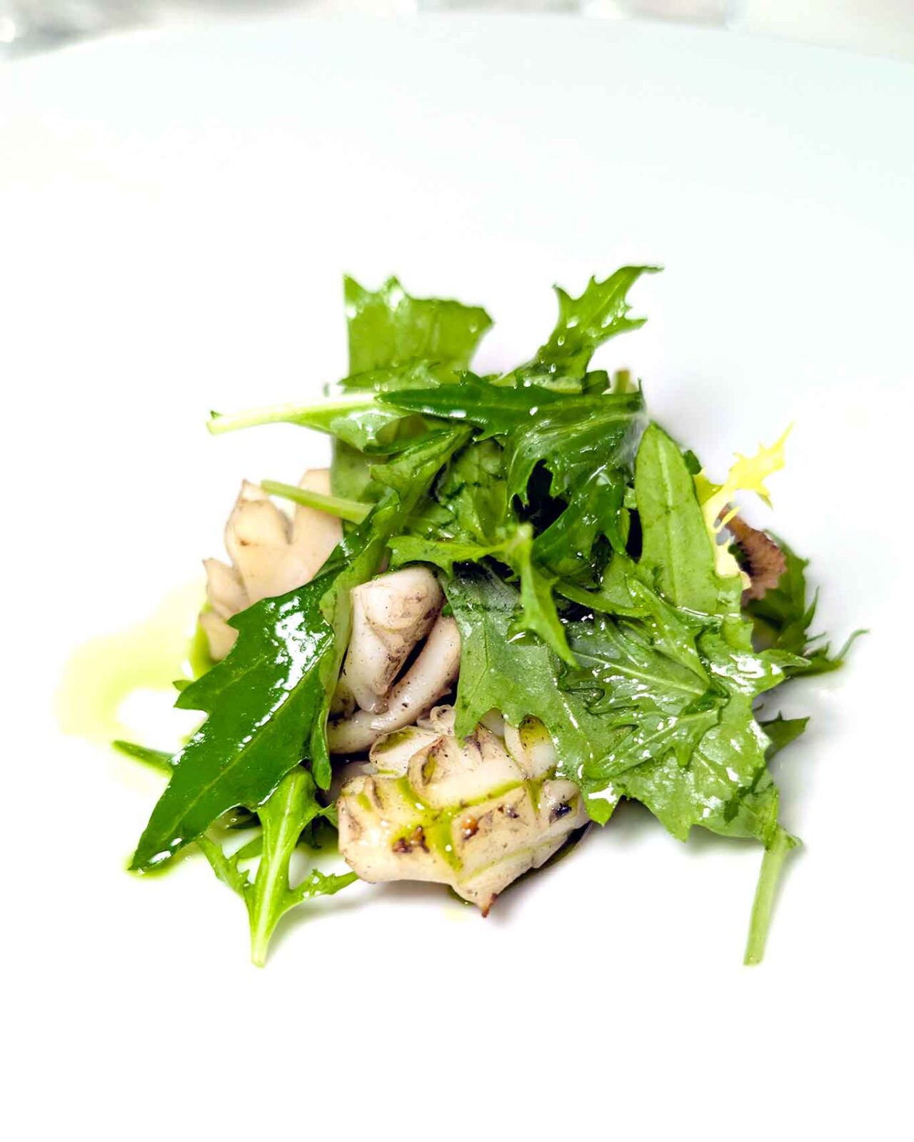 seppie del ristorante Attico sul Mare a Grottammare