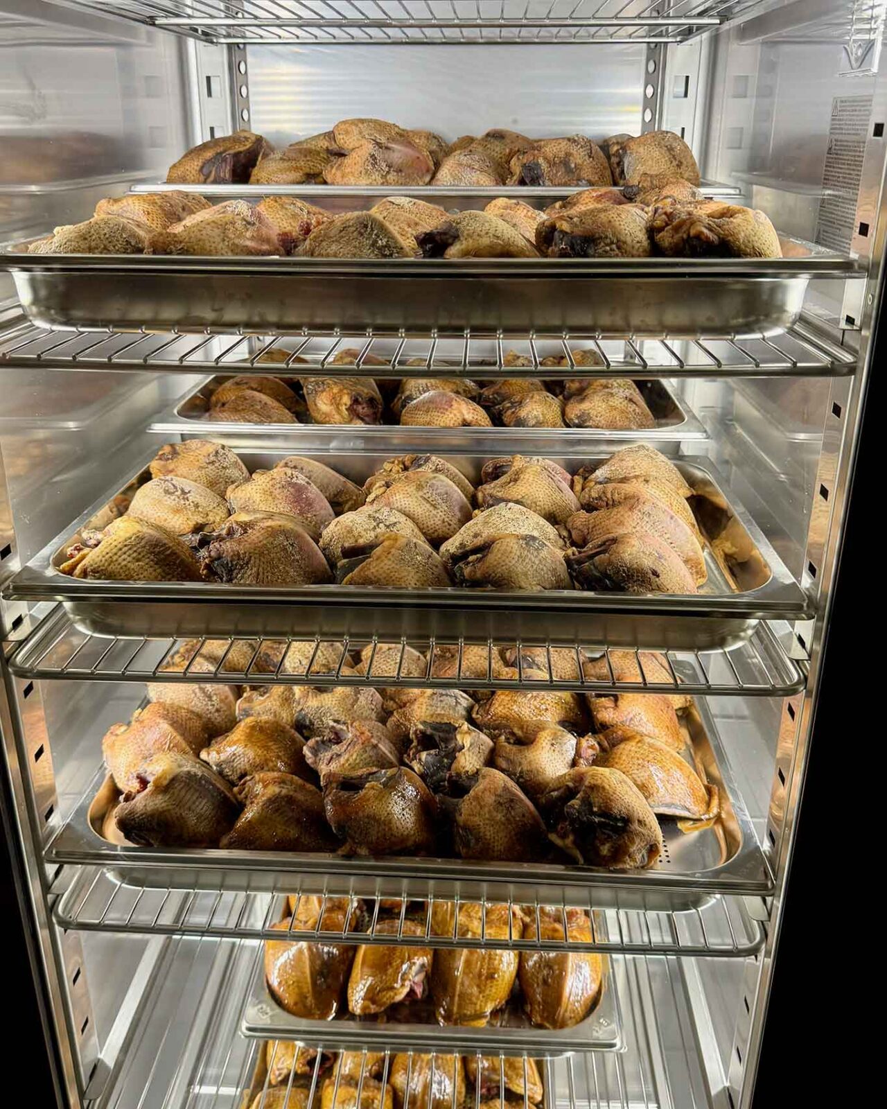 piccioni del ristorante Somnium ad Eboli