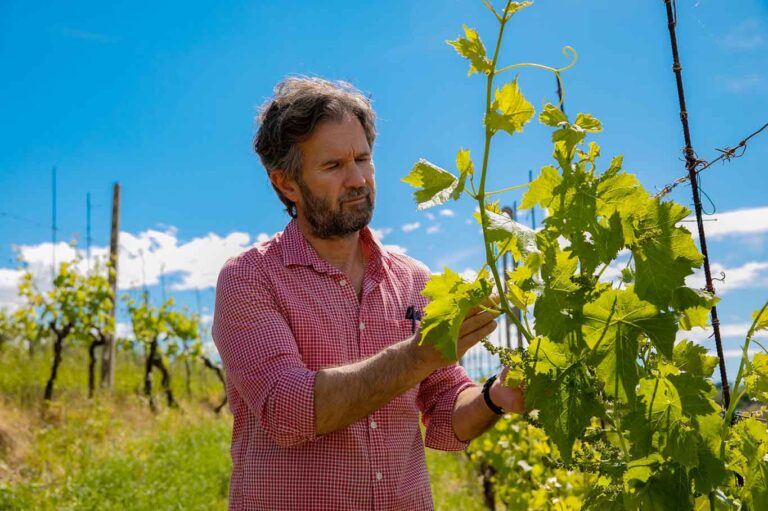 Cracco a Vinitaly, menu e prezzi del ristorante al padiglione 1