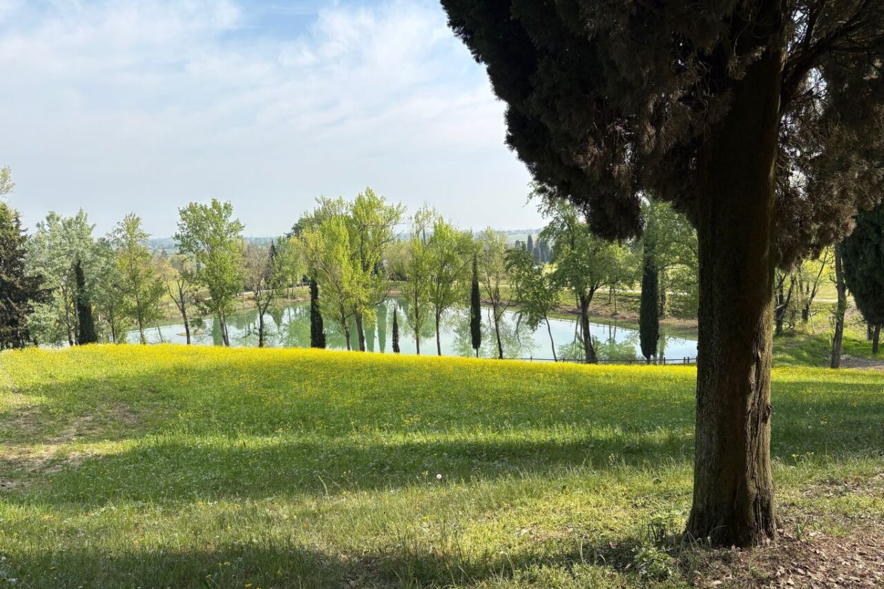 verde della tenuta