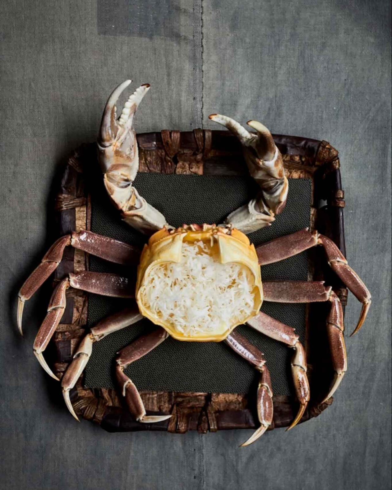 il Noma riapre