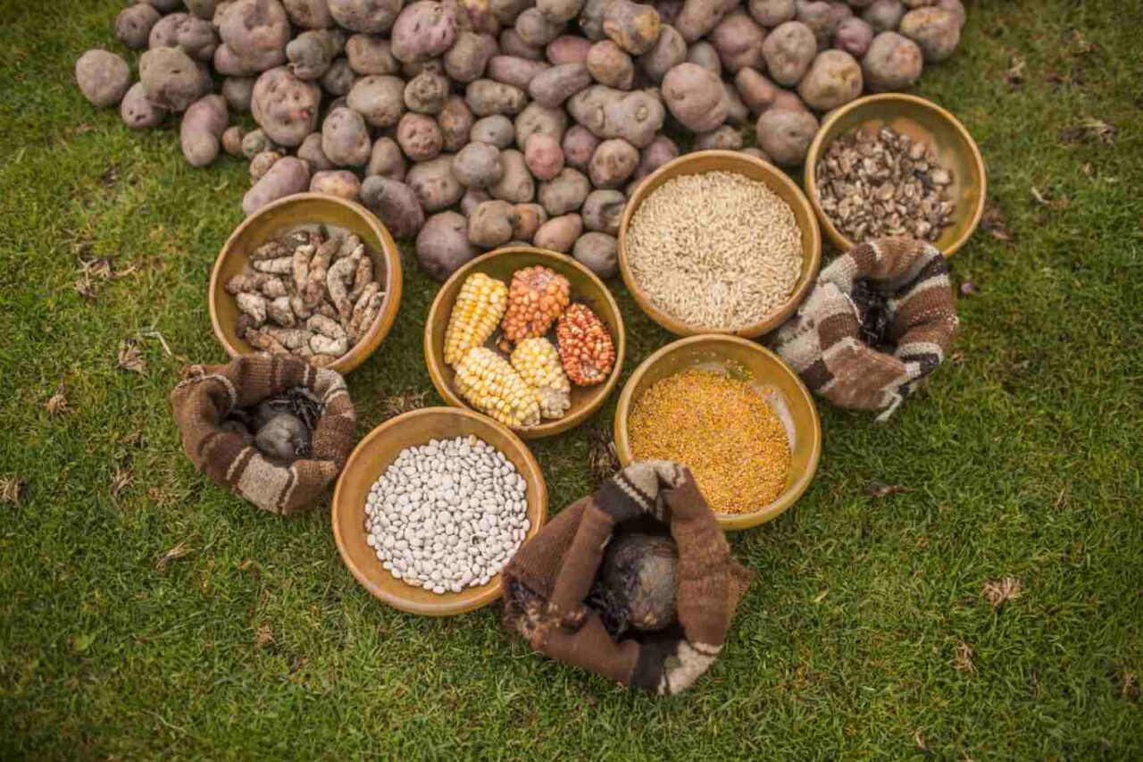 prodotti cucina peru