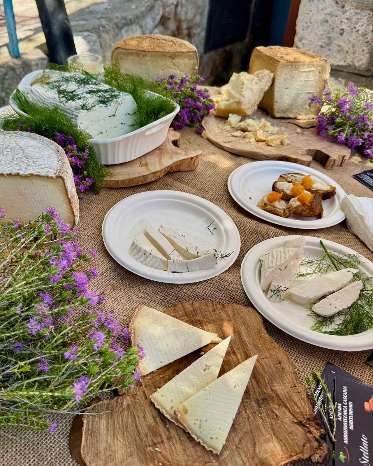formaggi a Maratea per il Bob Fest