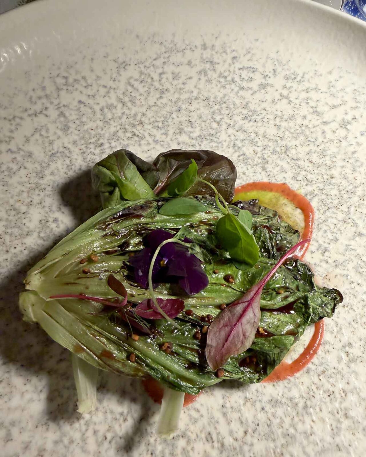l'insalata del ristorante Il Fagiano sul Lago di Garda