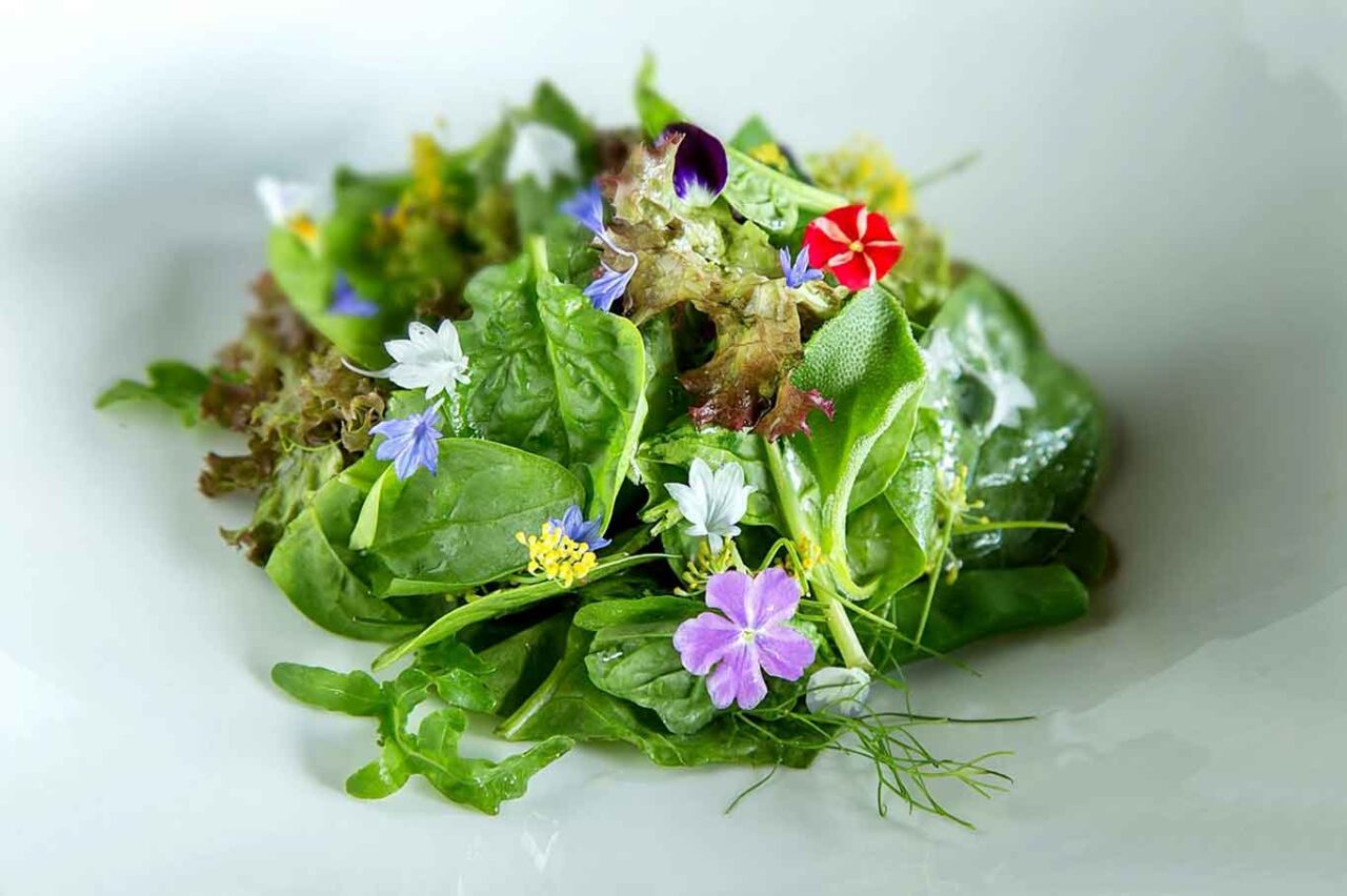 l'insalata aromatica del ristorante La Locanda del Borgo di Aquapetra Resort a Telese Terme