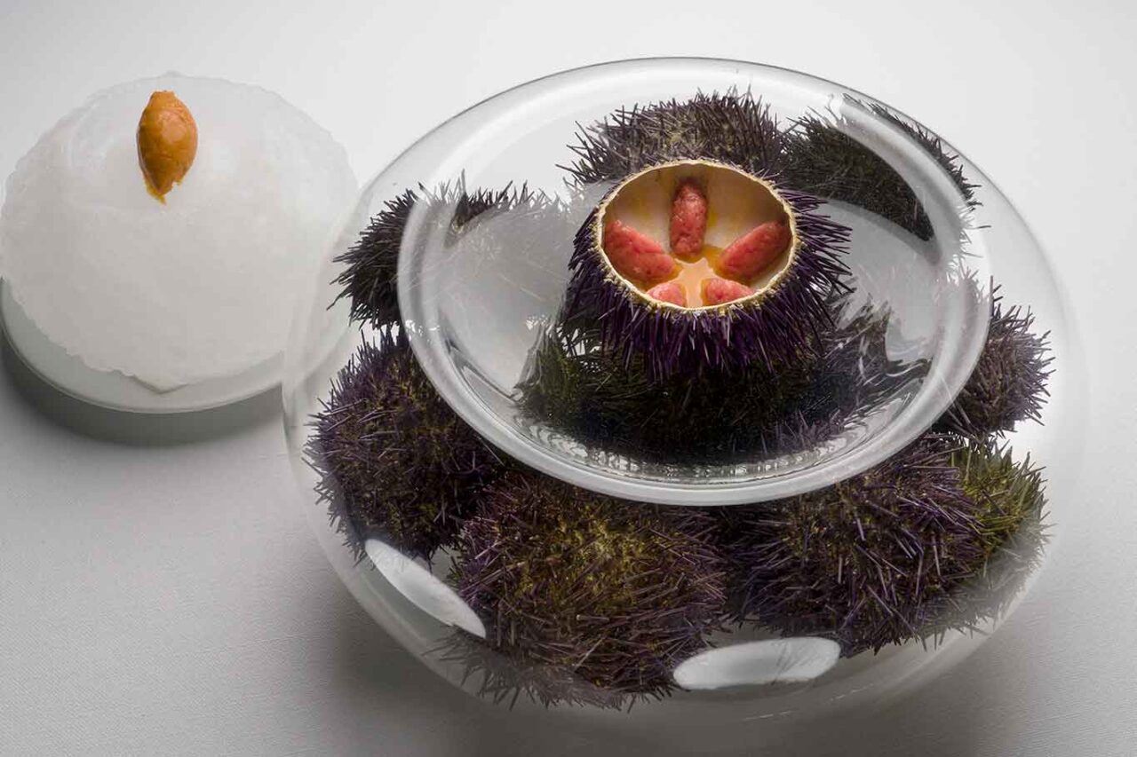il riccio di mare del ristorante Terrazza Bosquet a Sorrento