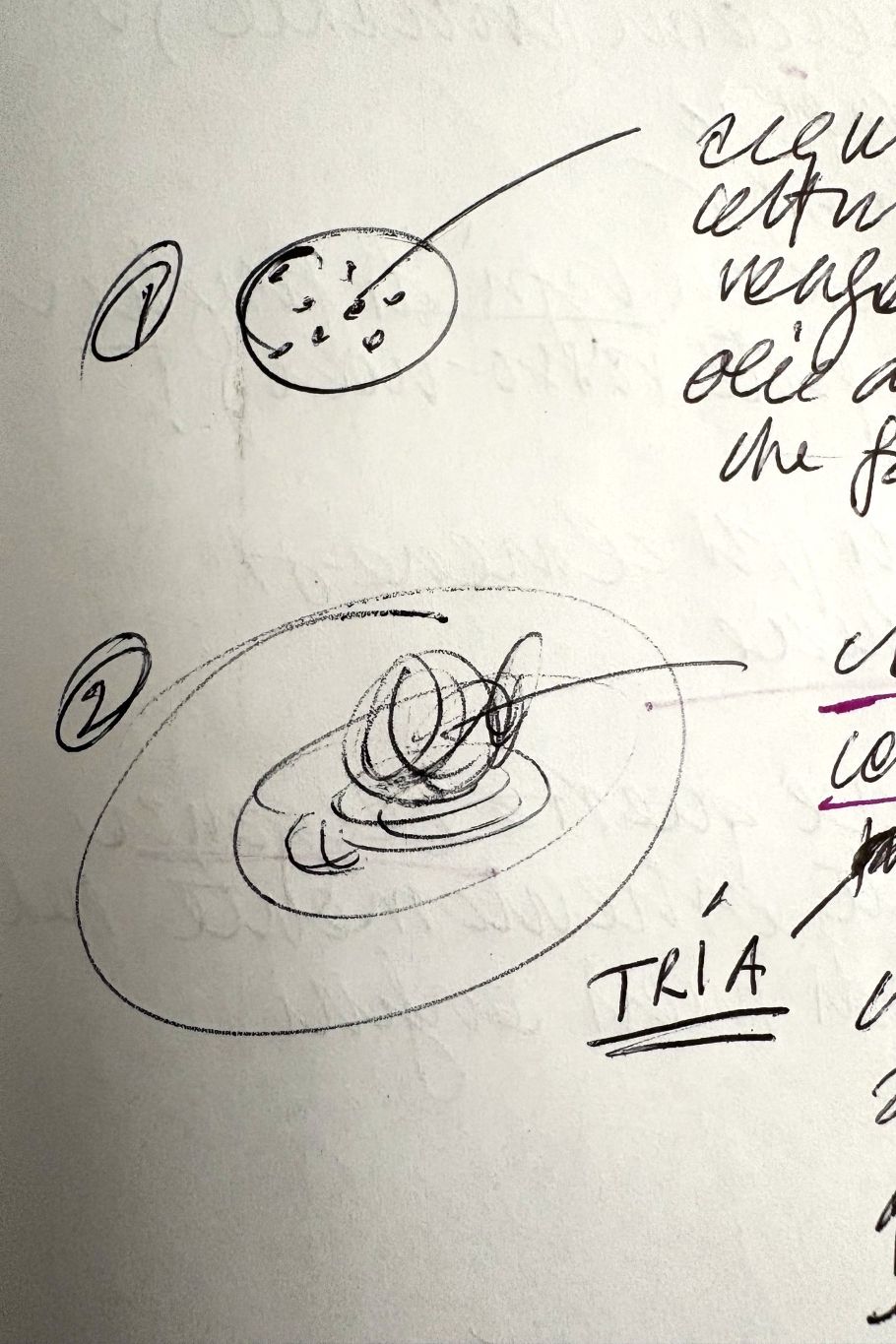 Ada Gourmet Perugia disegnetto Daniela Ciceri e Trìa