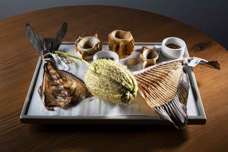 Madonnina del Pescatore a Senigallia: L’Evoluzione delle Spine