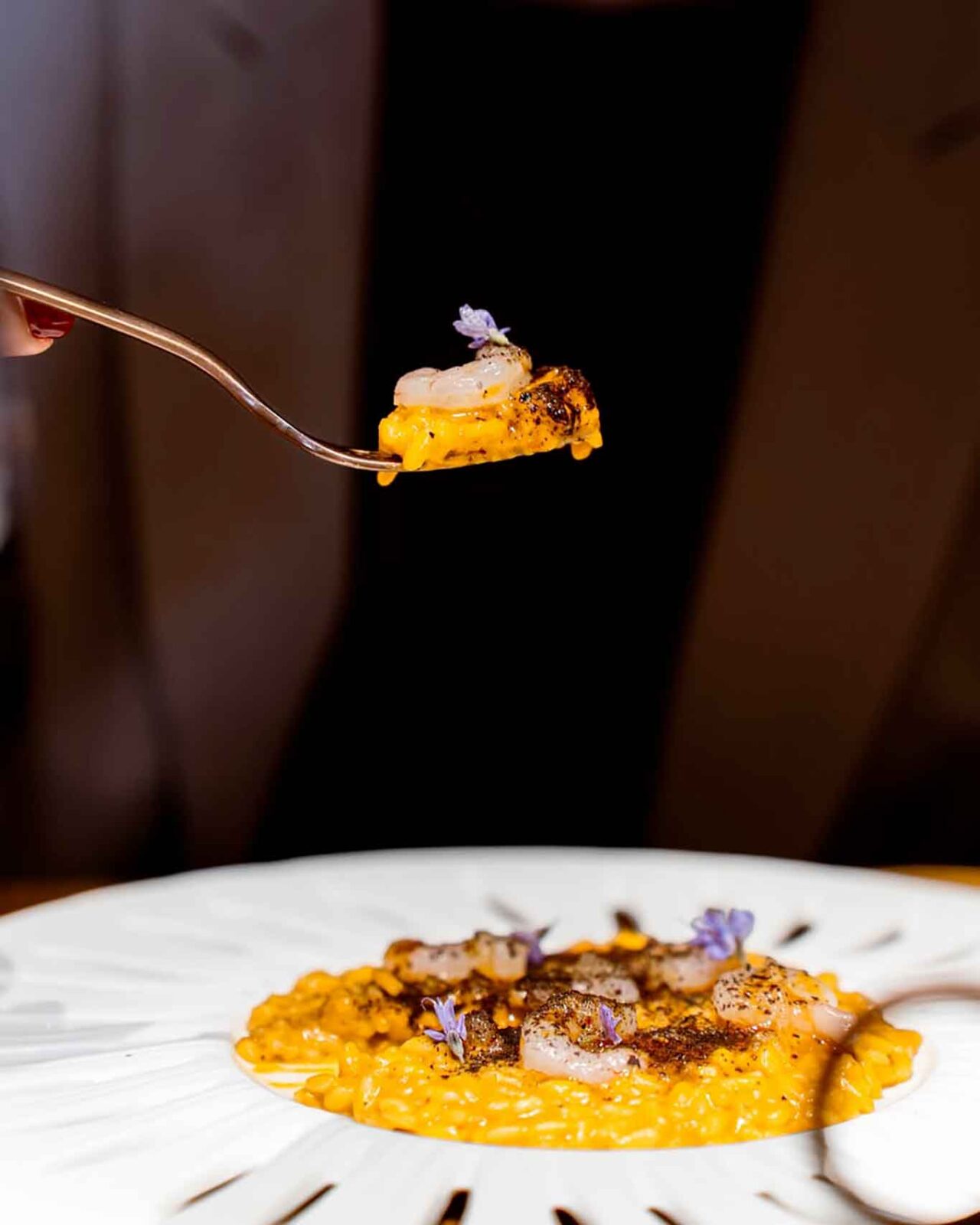 il risotto del ristorante di pesce Terradimare a Trani che ha vinto 4 ristoranti