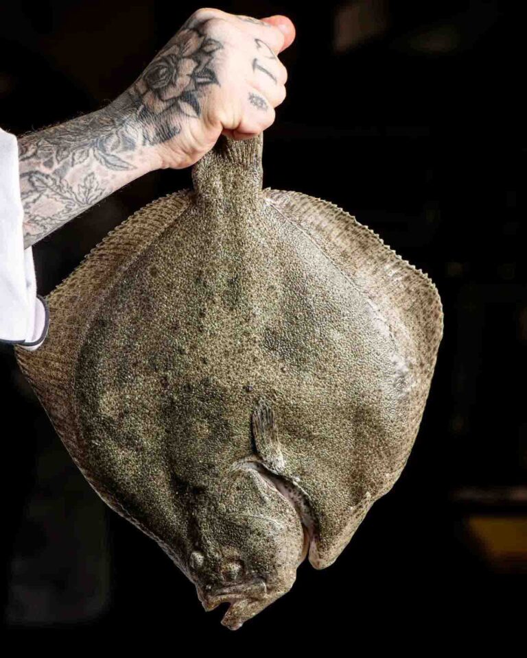 Tartare di rombo, ricetta veloce da Madrid con pesce di allevamento