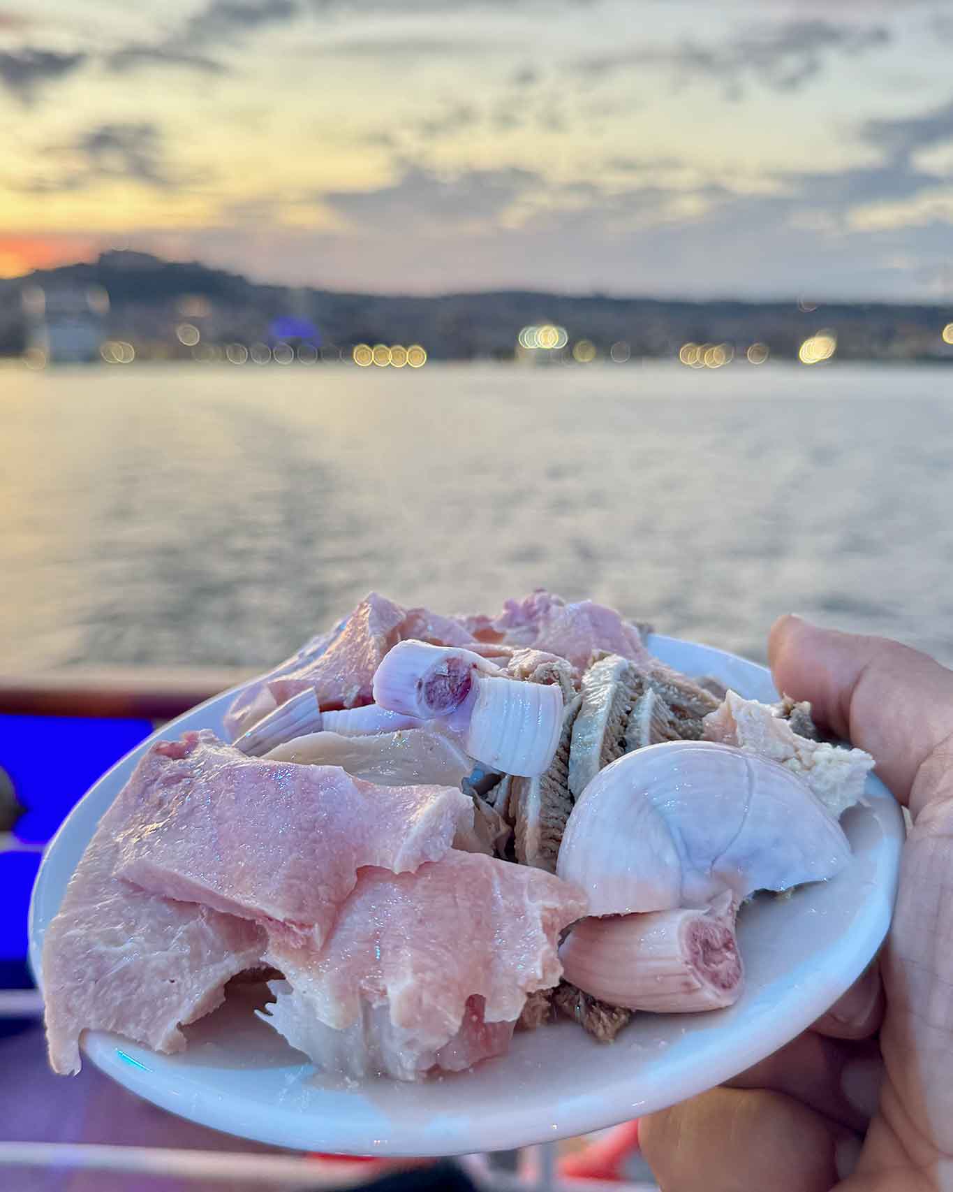 Sulla nave ci vanno fiordilatte, trippa, bun, gnocchi alla Sorrentina