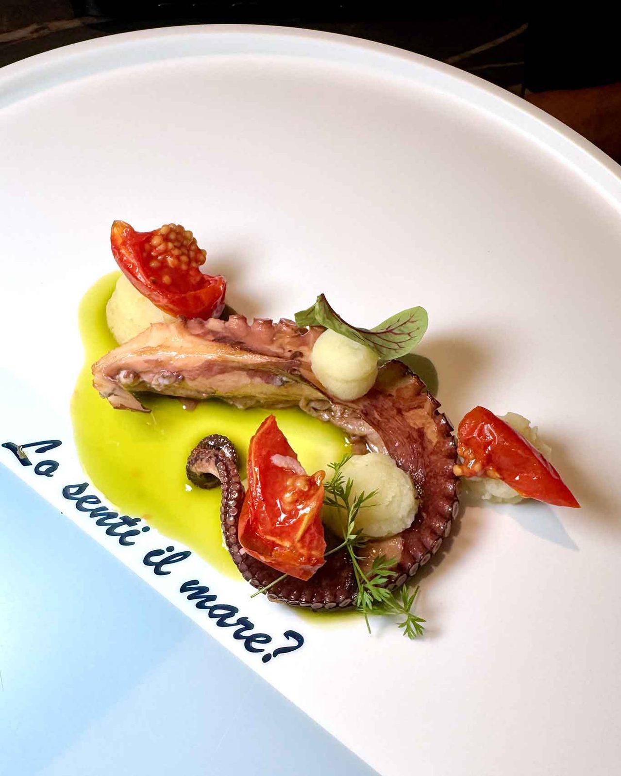 il polpo con le patate del ristorante Alessandro Feo a Marina di Casal Velino