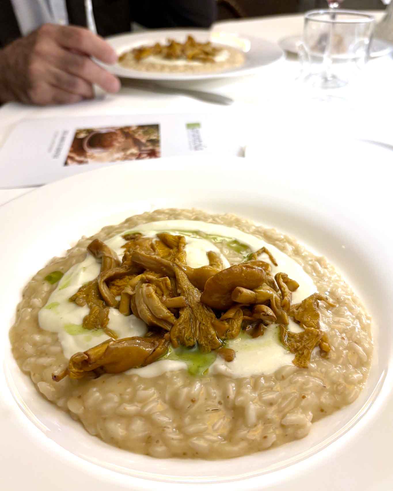 La ricetta del risotto per i 100 anni di Appiano Gentile